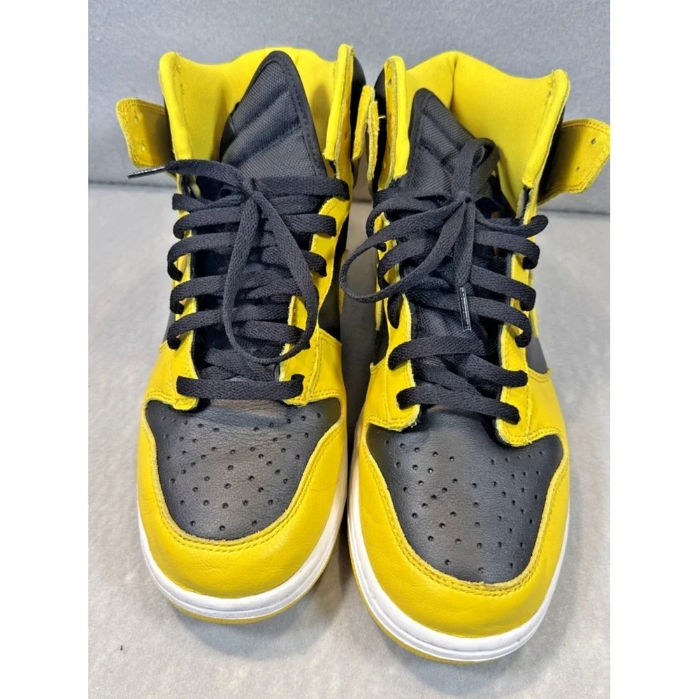 Nike dunk sp